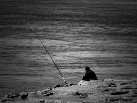 BEATRIZ HENRIQUES - EXIF: não disponível